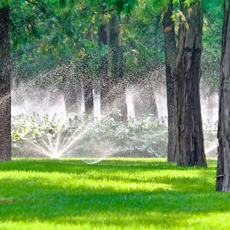 irrigation-analysis