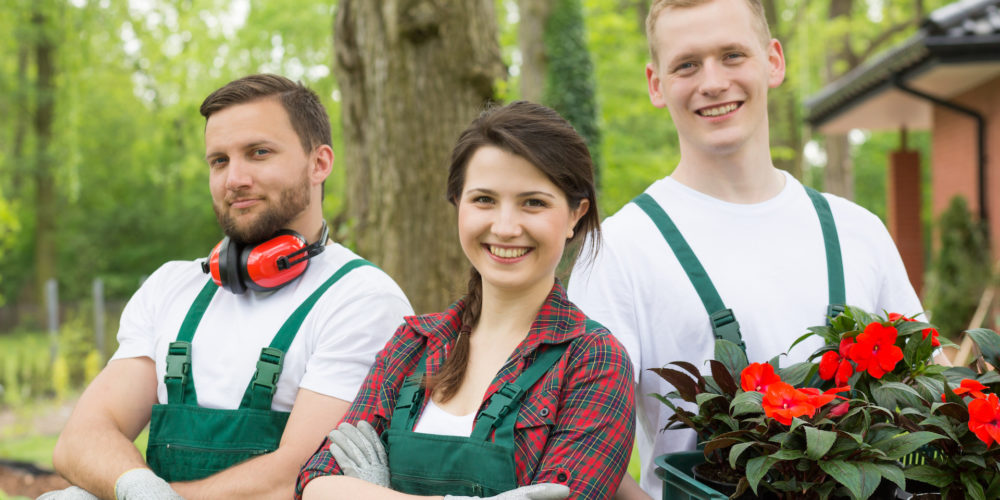 three-landscaping-workers