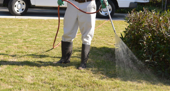 Professional Lawn Spraying